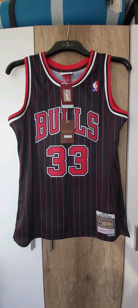 SCOTTIE PIPPEN 1995-1996