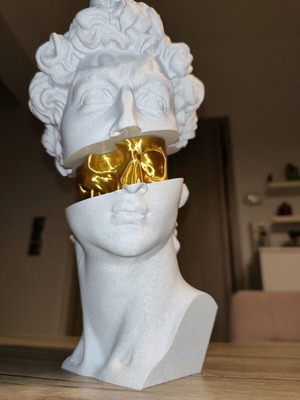 3D Printed David Bust with Gold Skull new, modern decorative art