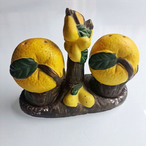 Ceramic salt and pepper set used with vintage Bassano del Grappa design