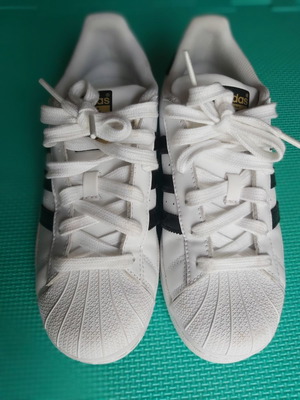 Adidas Superstar νούμερο 36⅔ καινούργιο, άσπρο