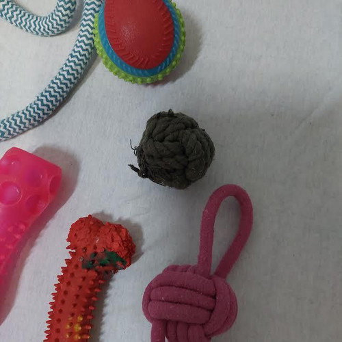 Dog accessories used for large breeds, stainless bowl, rope, balls, bones
