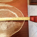 Γυάλινα πιάτα σε σχήμα ψαριού, σετ 5 τεμαχίων