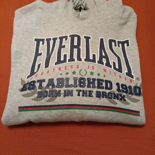 Everlast hoodie gray size L like new