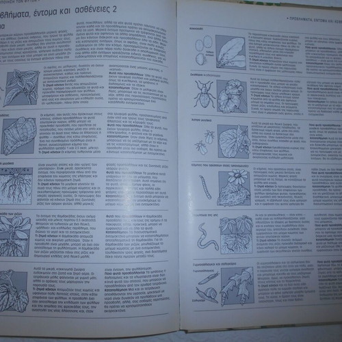 Indoor Gardens used book by John Brookes