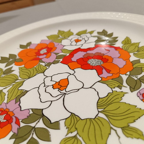 Vintage Pontesa Spain dessert and fruit set 7 pieces used, ironstone floral