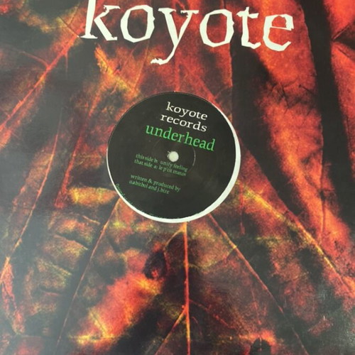 Goa trance record used, very good condition