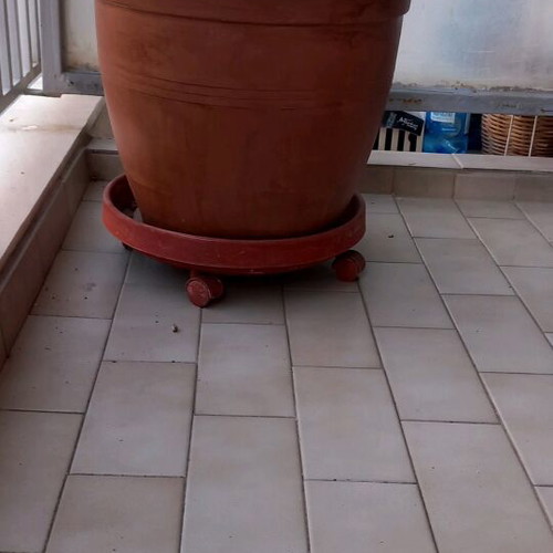 Flower pots three large with simple saucer and saucer with wheels