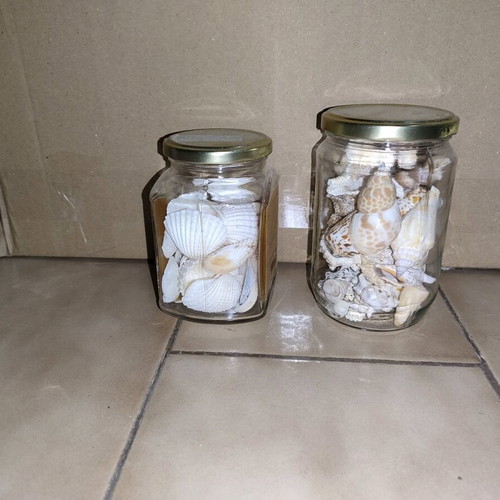 Decorative shells new, in 5 glass jars and basket
