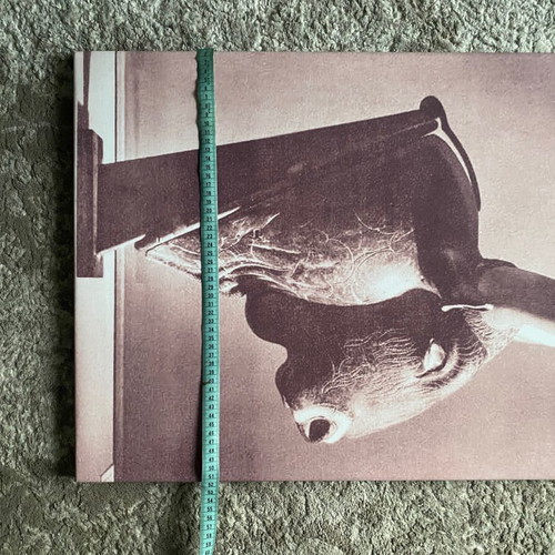 Canvas print with artistic bull depiction vintage style