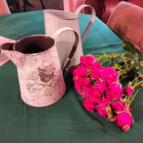 Rustic garden watering cans new with anti-corrosion coating