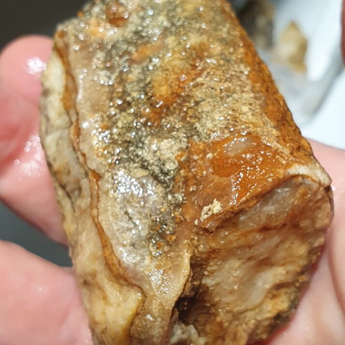 Lot of fossils and rocks from Greece new, educational collection