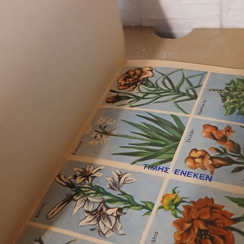 Natural History books used, pack of 2, animals and plants