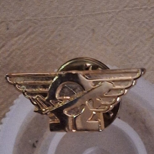 Omega Schools Promotional Pin 1970s, like new