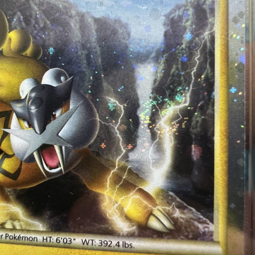 Pokémon Graded Cards Set Raikou, Entei, Suicune HGSS Black Star Promos 2010 PSA 8 & 7