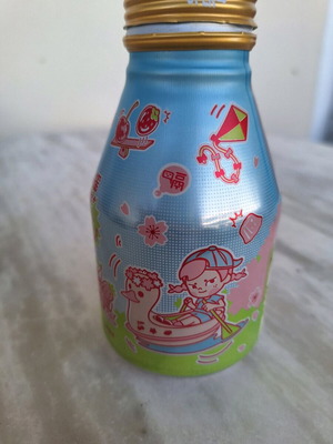 Metal bottle kawaii Japanese like new
