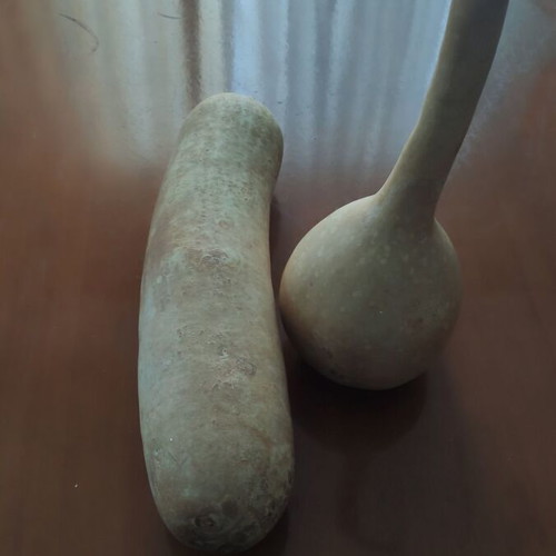 Dried gourds like new, pack of 4 pieces