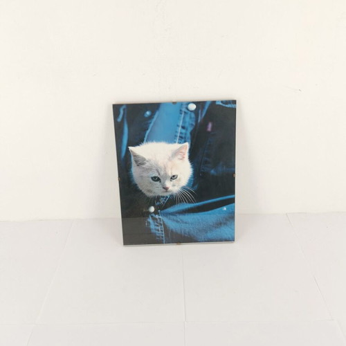 Picture frame with cat image used