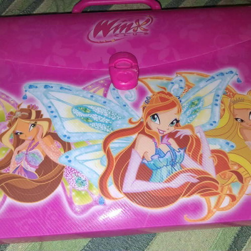 Winx Club A4 plastic folder briefcase with handle