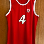 Φανέλα-Εμφάνιση Giannis Antetokounmpo Φιλαθλητικός Ο.Α. Μέγεθος XL καινούργιο επίσημο αντίγραφο