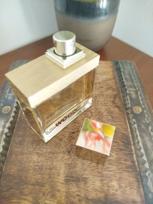 Dsquared2 She Wood Golden Light Wood Eau de Parfum 30ml