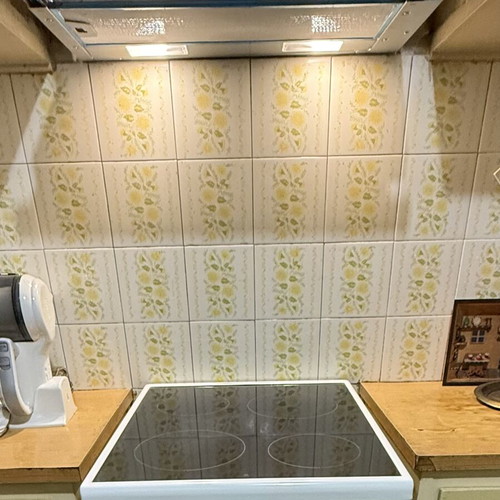 Zanussi electric oven with hob and deodorizer