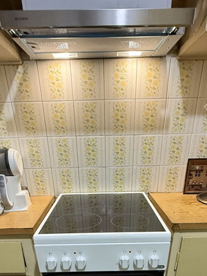 Zanussi electric oven with hob and deodorizer