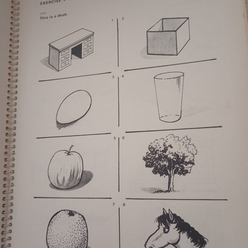 Opeac Oral Drills Workbook A 1968 used, English