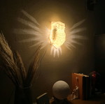 3d printed Wall lamp owl