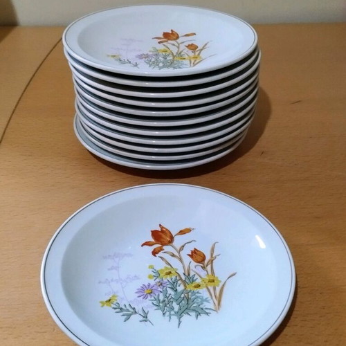 Vintage set of 12 floral plates, 18 cm