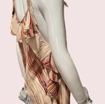 Off-shoulder blouse like new, size L-XXL, red and beige