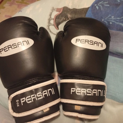 Persani 8 Oz kids kickboxing gloves used, black