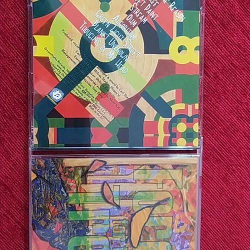 Forest for the Trees CD like new, electronic