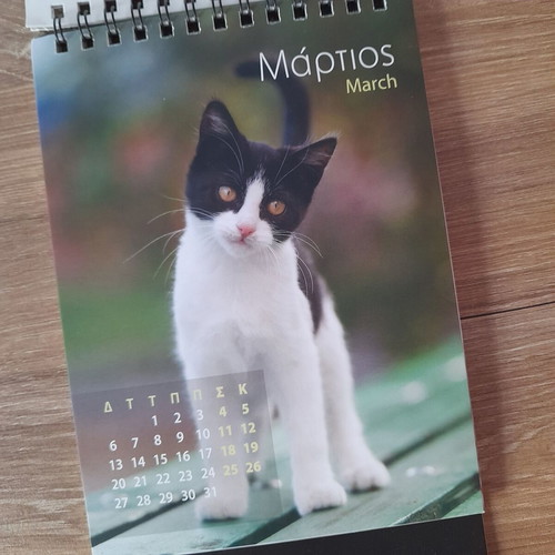 Calendar 2023 "Kittens" new, size 12x17cm