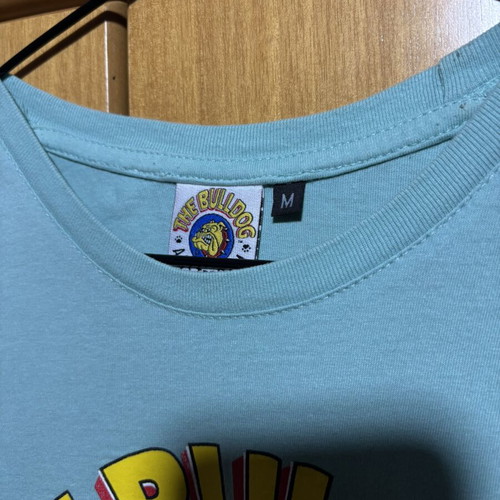 The Bulldog Amsterdam T-shirt like new, turquoise, size M