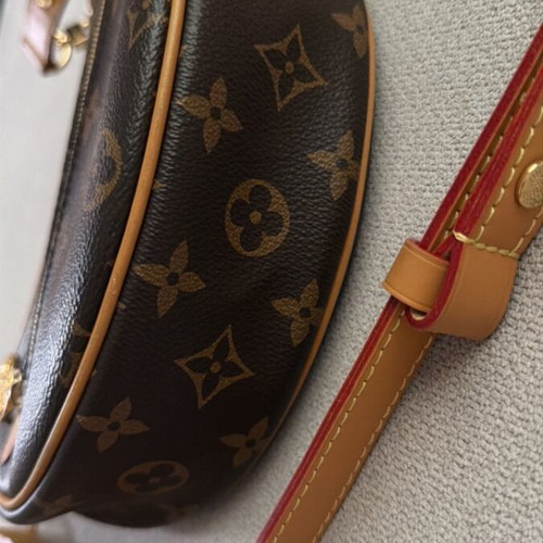 Louis Vuitton PM Loop bag luxury monogram canvas crossbody