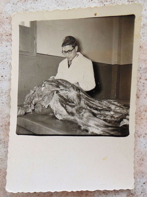 Rare Small-Sized Medical School Autopsy Photo 1961 used