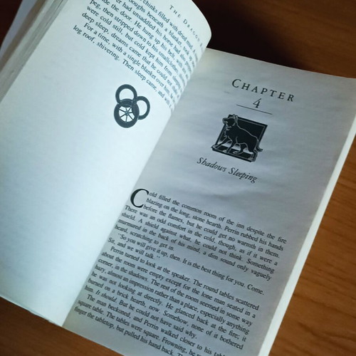The Dragon Reborn by Robert Jordan used, English fantasy novel