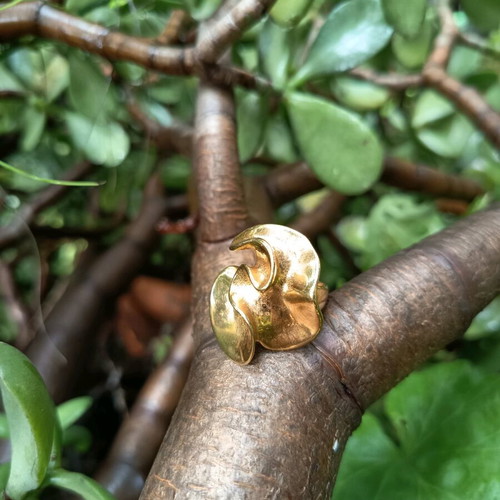 Ring impressive made of stainless steel used