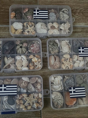 Mini κοχύλια σε 5 δωροκουτάκια, σαν καινούργια
