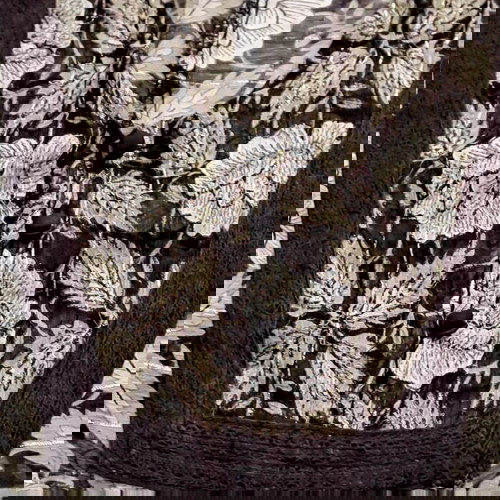 ZARA - Γυναικεία πουκαμίσα XS