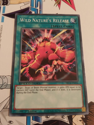 Yu-Gi-Oh! Normal Spell card used