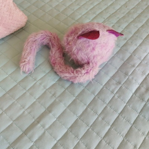 Pomsies cat used, meowing kitten