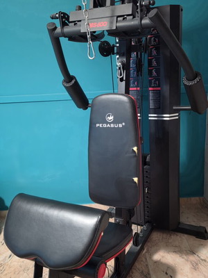 Pegasus MS 600 multi gym like new, small cushion tear