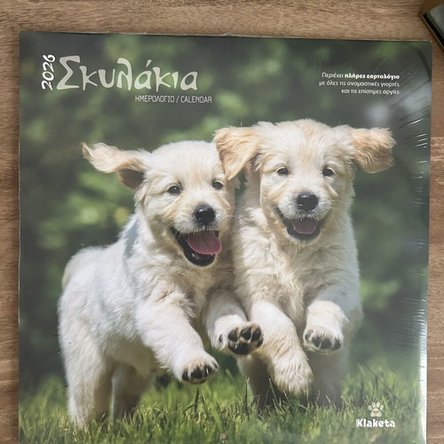 Calendar 2026 large wall puppies new