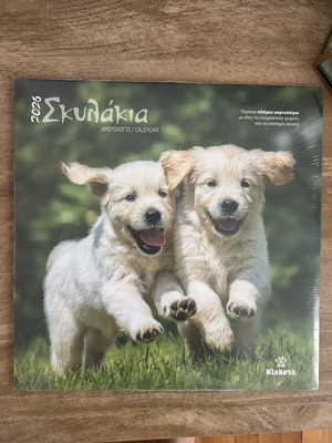 Calendar 2026 large wall puppies new