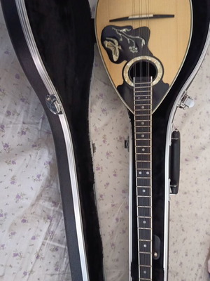 Tzouras like new with grover keys and hard granite case