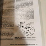 Competitive Swimming Book Used