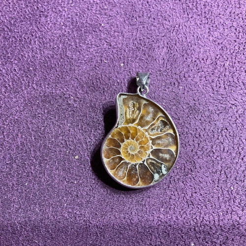 Ammonite pendant new
