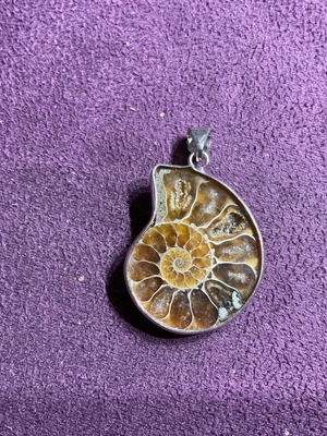 Ammonite pendant new