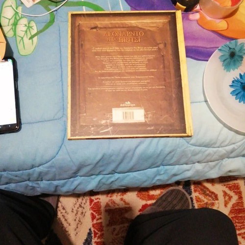 Leonardo da Vinci book like new